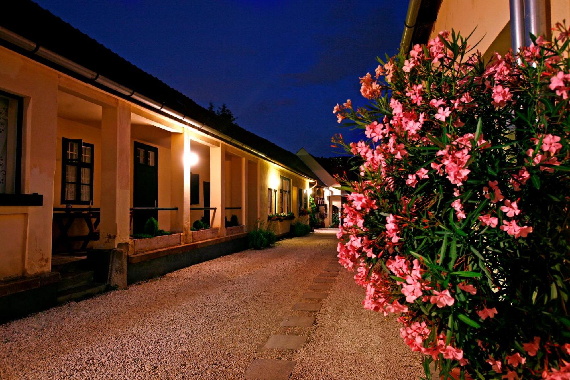 Hotel Keszi Panzio à Budakeszi Extérieur photo
